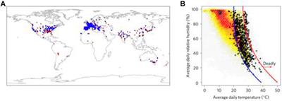 Diminishing Opportunities for Sustainability of Coastal Cities in the Anthropocene: A Review